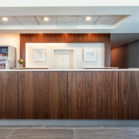 Hilton Garden Inn Tampa Northwest/Oldsmar-3